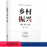 [正版]乡村振兴:规划·路径·案例
