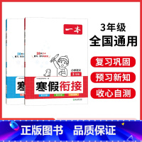 [衔接套装]语文+数学 小学二年级 [正版]寒假衔接阅读口算练字帖小学语文数学寒假作业语文寒假阅读字帖数学口算计算训练