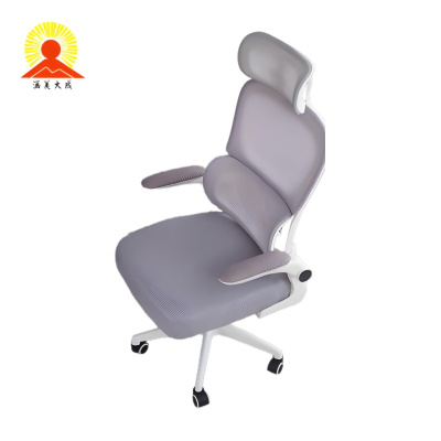 涵美大成 人体工学椅办公椅 GXY0816 张