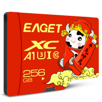 忆捷(Eaget) 手机存储卡监控摄像内存卡TF卡高速行车记录仪SD卡c10高速卡 256GB