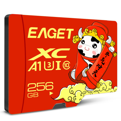 忆捷(Eaget) 手机存储卡监控摄像内存卡TF卡高速行车记录仪SD卡c10高速卡 256GB