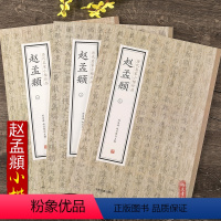 [正版]历代名家小楷珍品 赵孟頫 全3册 闲邪公家传 卫宣人墓志 大元敕藏御服之碑 高上大洞玉经 汲黯传 道德经 黄庭