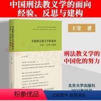 [正版]2022新书 中国刑法教义学的面向 经验反思与建构 王莹 解释学工具 财产犯罪教义学网络刑法教义学 法益理论规