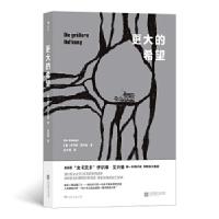 音像更大的希望[奥]伊尔泽·艾兴格 著 庄亦男 译