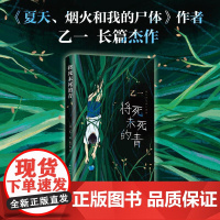 将死未死的青 乙一长篇暗黑作品 夏天烟火和我的尸体动物园一部直视人心深渊暗黑小说致活在人群中的你推理小说 南海出版社