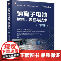 钠离子电池:材料、表征与技术(下卷) 玛拉-马格达莱纳·蒂廷斯 锂资源不足 新能源行业 负极材料 石墨 硬碳