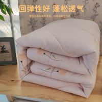 安琪尔植物奶绒棉冬被200*230条