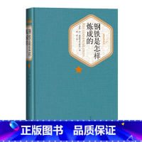 [正版]钢铁是怎样炼成的精装版奥斯特洛夫斯基著梅益译名著名译精装版人民文学出版社