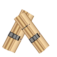 历途科技防盗门锁芯100偏(42.5+57.5)mm 个