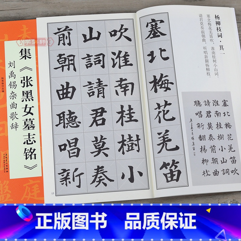 [正版]集张黑女墓志铭 刘禹锡杂曲歌辞 陆有珠 翰墨诗词大汇集字楷书毛笔字帖碑帖书籍图书米字格对照临摹 安徽美术出版社