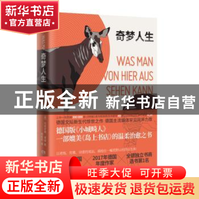 正版 奇梦人生 玛丽安娜·莱基 湖南文艺出版社 9787540493530 书