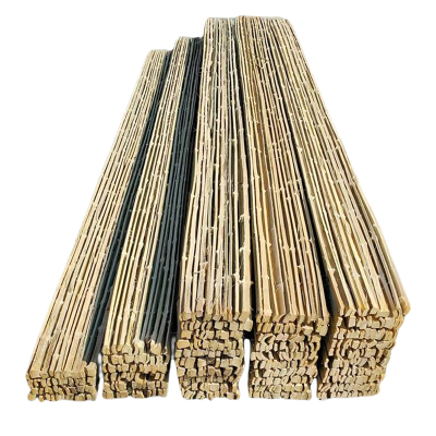 贝策 竹踏板 竹架板竹跳板 200*2900mm 个