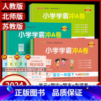河南版-数学(人教版) 六年级下 [正版]2024小学学霸冲a卷一年级二年级三四五六年级上册下册语文数学英语人教版北师练