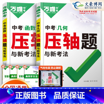 [几何+函数]2本套装 初中通用 [正版]2024数学物理化学压轴题专项训练 初二初三初中数学几何二次函数方法大全 八九