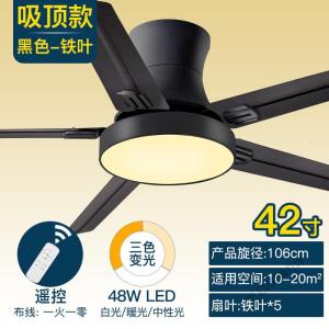 苏宁放心购 北欧吊扇灯餐厅简约风扇灯客厅卧室家用大风力电扇带风扇吊灯静音