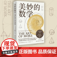 美妙的数学 数学科普系列迈克·布鲁克斯著浪漫科普数学之美通俗数学史读物人类历史文明
