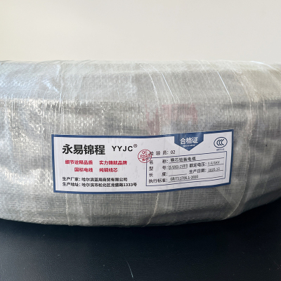 永易锦程 铜芯铠装电缆0.6/1KV ZC-YJV22-2*6平方 米