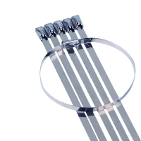具安金 不锈钢扎带 8*500mm*100条 包