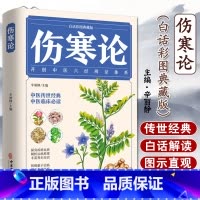 [正版]伤寒论 张仲景 中医书籍大全 彩图典藏版含原文注释译文 杂病论医药大全中医书籍中草药彩图大全书医学类书籍中药中