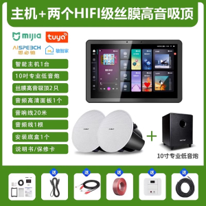 先科(SAST)智能AI家庭吸顶音响客厅无线智能语音主机+2个6.5英寸HiFi丝膜高音同轴吸顶音响+10吋专业低音炮
