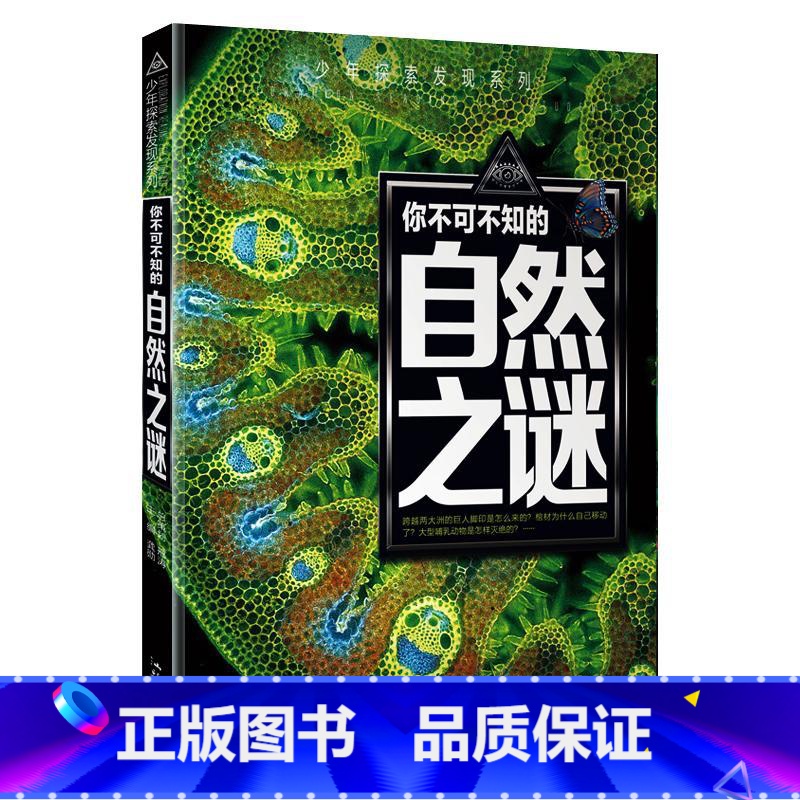 自然未解之谜 [正版]少年探索发现系列少儿科普书籍 你不可不知的兵器之谜 中国世界未解之谜大全集 中小学生科普读物少儿百
