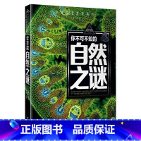 自然未解之谜 [正版]少年探索发现系列少儿科普书籍 你不可不知的兵器之谜 中国世界未解之谜大全集 中小学生科普读物少儿百