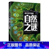 自然未解之谜 [正版]少年探索发现系列少儿科普书籍 你不可不知的兵器之谜 中国世界未解之谜大全集 中小学生科普读物少儿百