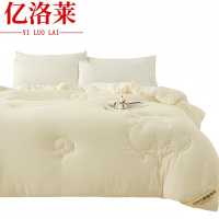 亿洛莱 冬被 180*220cm约6斤 床