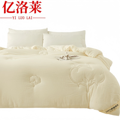 亿洛莱 冬被 180*220cm约6斤 床