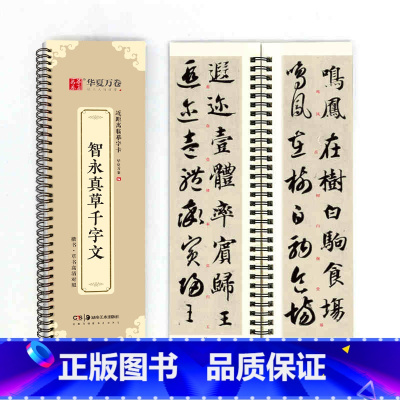 [正版]0减40单本华夏万卷 毛笔近距离临摹字卡智永真草千字文墨迹本草书行草高清还原临帖练字帖教程