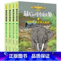 中国最后的战象 宝牙系列(4册) [正版]后的中国战象全套14册漫画版沈石溪动物小说全集7-12岁小学生三四五年级课外阅