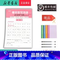 语文 四年级上 [正版]2024秋随堂帮 看拼音写词语活页默写纸 四年级上册人教版