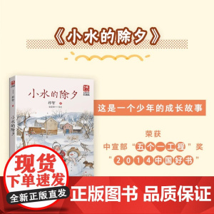小水的除夕 小学生课外书中国好书少儿类获奖童书 祁智 美绘版 书目中国儿童文学儿童长篇小说小学生三四五六年级课外阅读书籍