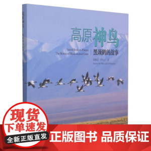 高原神鸟 黑颈鹤的故事