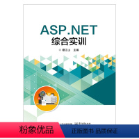 [正版]ASP.NET综合实训 ASP.NET项目开发从入门到精通 ASP.NET开发实例大全 ASP.NET网站项目