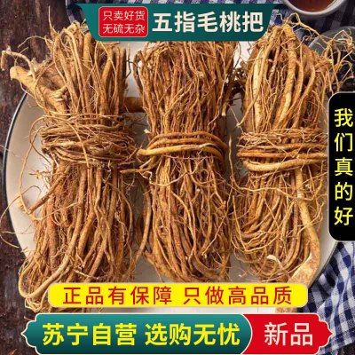 甄选五指毛桃根须100克新货特产干货土茯苓五指毛桃正品干货煲汤材料