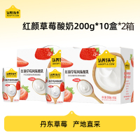 认养一头牛红颜草莓风味酸奶200g*10盒*2箱学生儿童营养早餐奶送礼7月