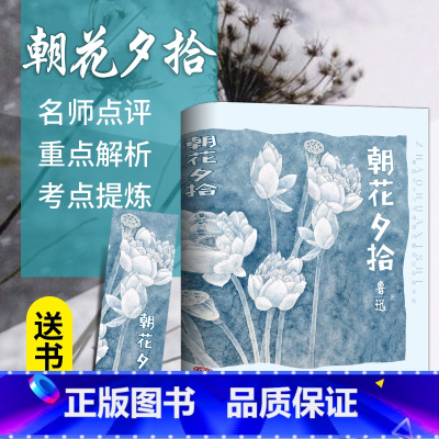 [正版]朝花夕拾 鲁迅初中生七年级语文课外书文学名著书籍鲁迅的书原著书籍书 排行榜 HB