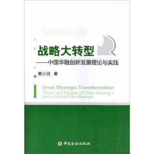 正版新书]战略大转型:中国华融创新发展理论与实践赖小民著97875