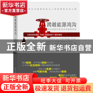 正版 跨越能源鸿沟:后石油时代如何应对能源危机 (美)罗伯特·U·