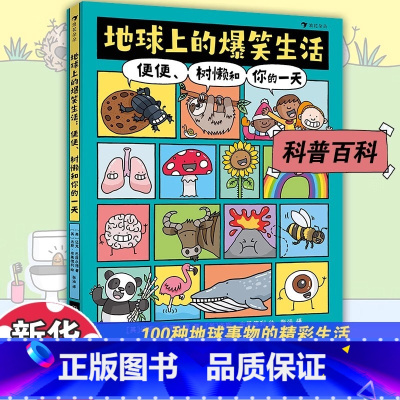 地球上的爆笑生活 [正版]书籍地球上的爆笑生活便便树懒和你的一天 6-10岁儿童幽默漫画科普百科知识读物一二三年级小学