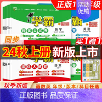联系客服(套尺)(勿拍) 二年级下 [正版]2024秋新小学学霸提优大试卷一年级二年级三年级四五六上册语文数学英语人