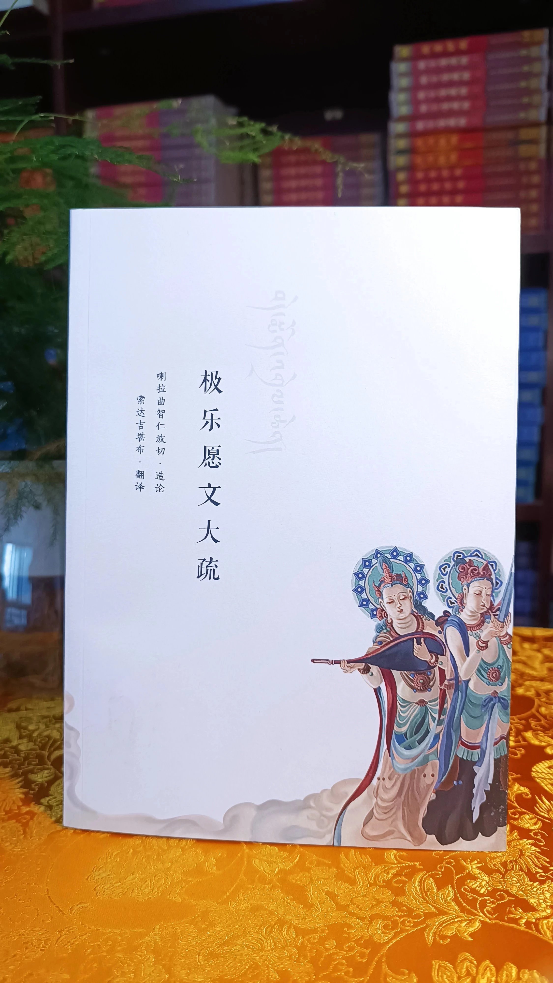 [正版]极乐愿文大疏 索s译