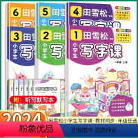 一年级上册 小学通用 [正版]2024新版 田雪松小学生写字课 小学一1二3三3四4五5六6年级上册下册语文人教版字词句