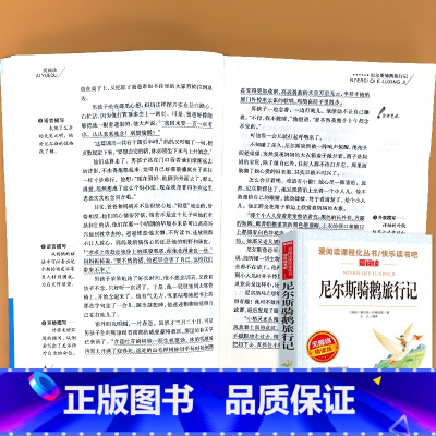 六年级下册 爱阅读尼尔斯骑鹅旅行记 [正版]小学生语文课外阅读的书籍全套二三四五六年级上册下册稻草人安徒生格林童话小英雄