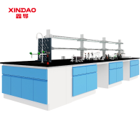 鑫导 实验室工作台 SYT58-钢木中央台定制 米