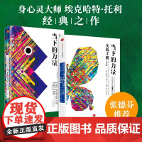 当下的力量 实践手册(白金版) 心灵书作家张德芬作序 如何创造性地使用你的大脑 如何利用你的消极心态 正版