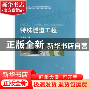 正版 特殊隧道工程 吕康成 人民交通出版社 9787114105968 书籍
