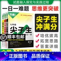 3本]数学+物理+化学[通用版] 九年级 [正版]2024尖子生每日一题七八九年级数学物理化学专题培优训练初中拔高题库初
