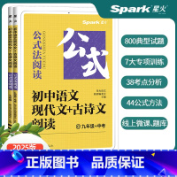 语文阅读训练 七年级 [正版]2025版初中语文阅读理解专项训练七八九年级中考现代文课外阅读答题技巧能力组合训练书初一二